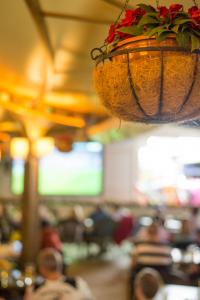 GLARUS BAR Sunny Beach