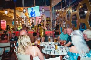 DJ Party - Karaoke - Fun