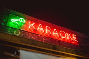 DJ Party - Karaoke - Fun