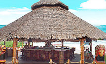 Beach Bar MEXO Sunny Beach