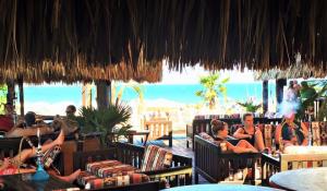 Party at Beach Bar MEXO