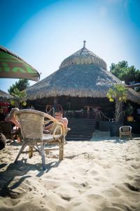 MEXO - Beach Party by Day