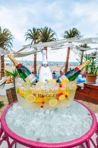 MEXO Summer Dreams