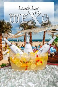 MEXO Summer Dreams