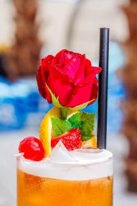 MEXO Summer Dreams