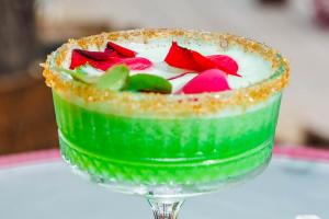 MEXO Summer Dreams