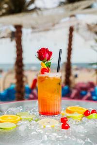 MEXO Summer Dreams