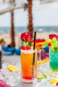 MEXO Summer Dreams