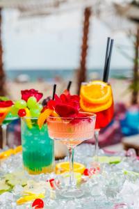 MEXO Summer Dreams