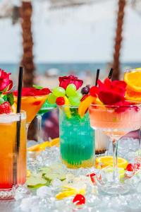 MEXO Summer Dreams
