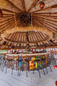 MEXO Summer Dreams