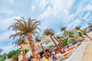 MEXO Summer Dreams