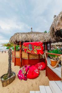 MEXO Summer Dreams