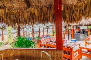 MEXO Summer Dreams