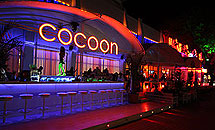Disco Lounge Bar & Sushi "COCOON" Sunny Beach