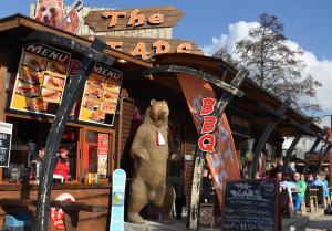 THE BEARS Bansko