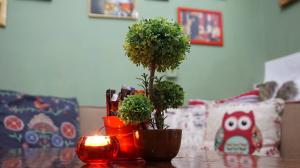 ROOMS Interior