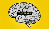 Bar "THE BRAIN" Бургас