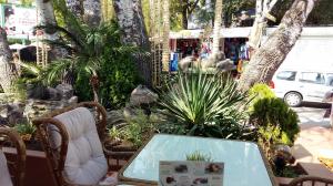 LAS PALMAS Garden