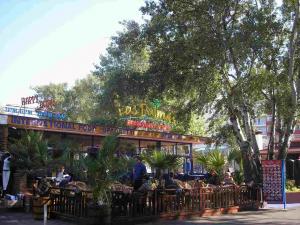 LAS PALMAS Garden