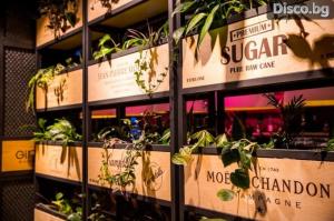 GINGER Bansko Grand Opening 2018