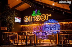 GINGER Bansko Grand Opening Party	