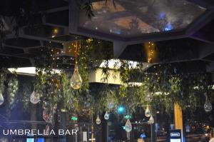 Piano Night Party