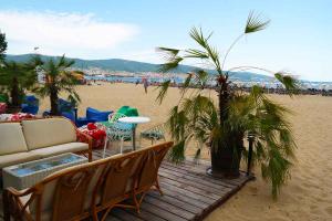 Beach Zone