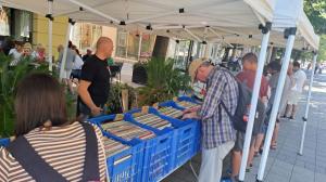 VINYL Bazar