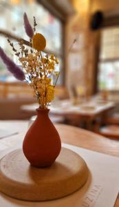 Greek Eatery KUZINA