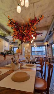 Greek Eatery KUZINA