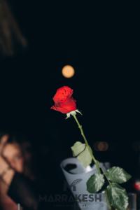 MARRAKESH by Night
