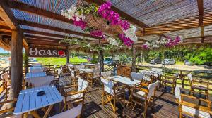 Beach Bar & Restaurant OCASO