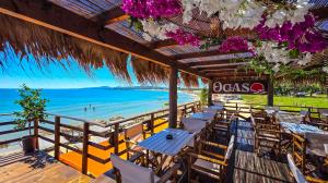 Beach Bar & Restaurant OCASO