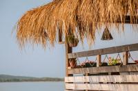 Surf School & Beach Bar SURF HOUSE Черноморец Surf School & Beach Bar SURF HOUSE Черноморец