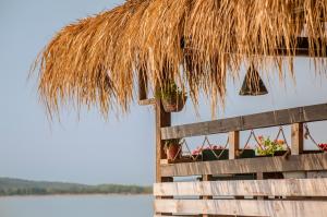 Beach Bar SURF HOUSE