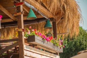 Beach Bar SURF HOUSE