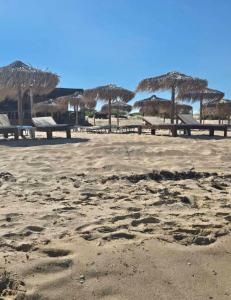 On the Beach