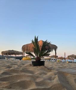 On the Beach